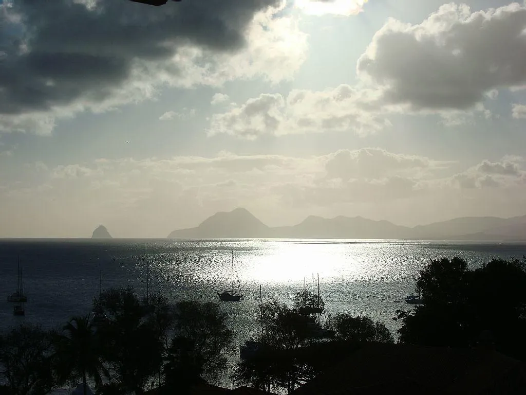 Appartement Palm'Studio Anse De Caritan Sainte-Anne
