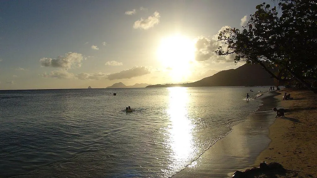 Palm'Studio Anse De Caritan Sainte-Anne Appartement