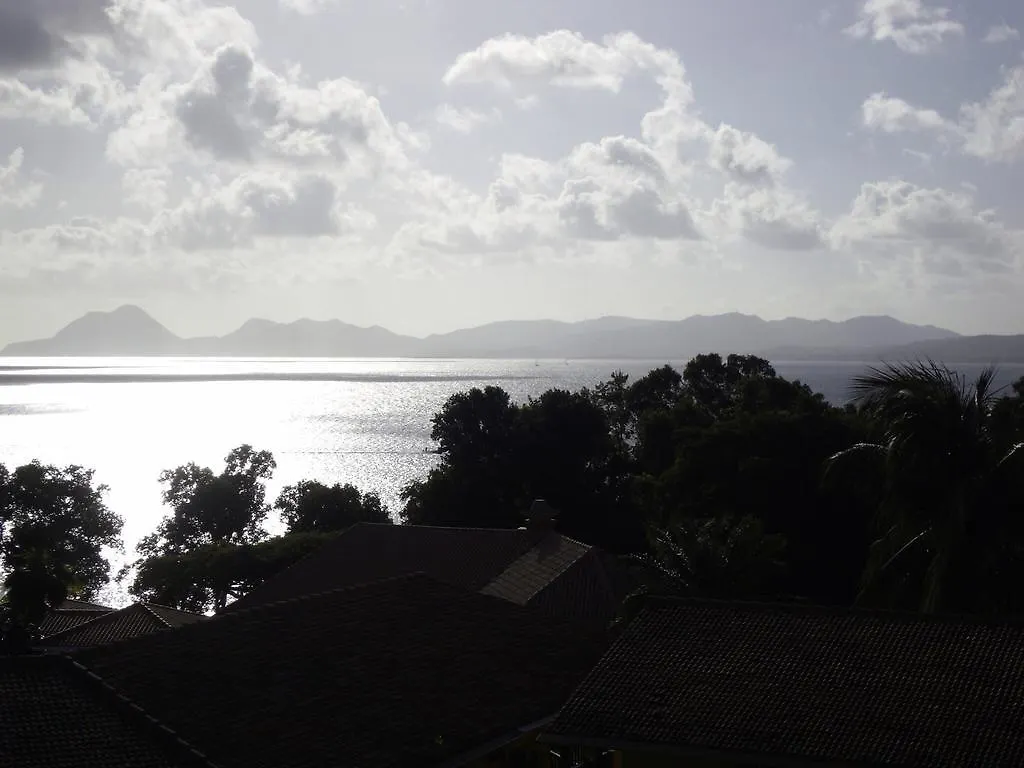 Palm'Studio Anse De Caritan Sainte-Anne Appartement